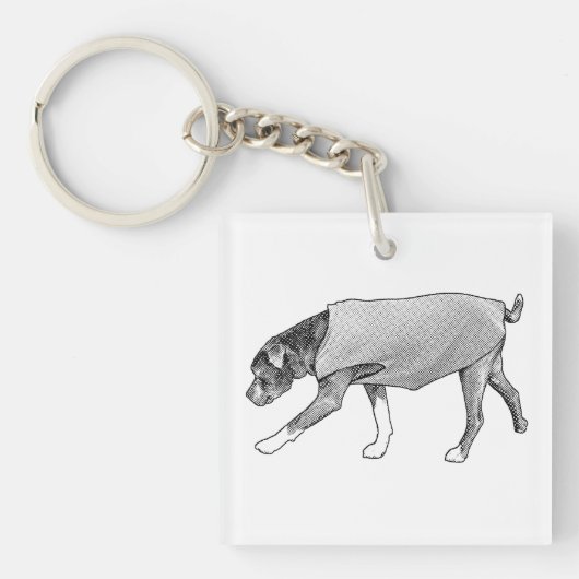 Jaren Licht Dragen Sleutelhanger (Voorkant)