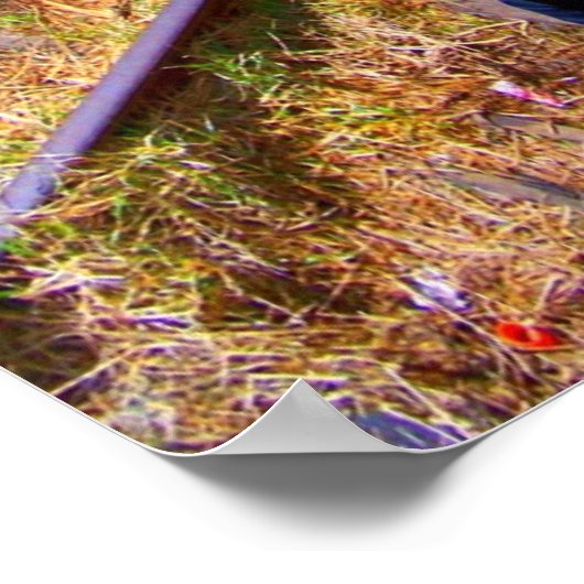 Jasen Sousa Tracks Down Poster (Hoek)