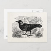 jasjakobstvogelvogelgepersonaliseerde vogelstand briefkaart (Voorkant / Achterkant)