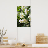 Jasmijn bloeit in de tuin poster (Keuken)