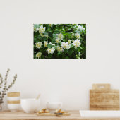 Jasmijnbloemen in de tuin poster (Keuken)