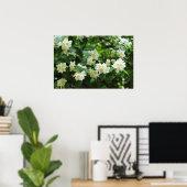 Jasmijnbloemen in de tuin poster (Thuiskantoor)