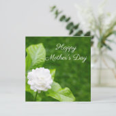 Jasmijnbloemen staan op groen Moederdag Kaart (Staand voorkant)