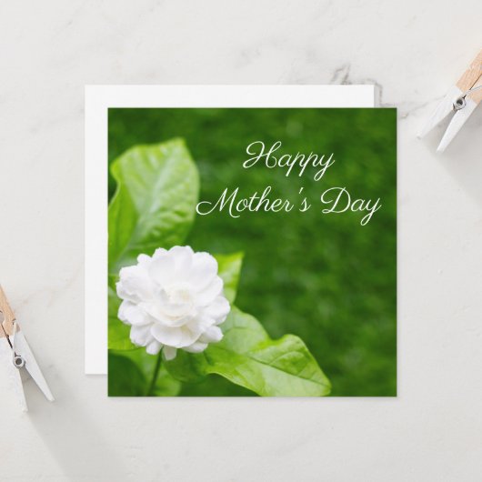 Jasmijnbloemen staan op groen Moederdag Kaart (Voorkant / Achterkant in situ)