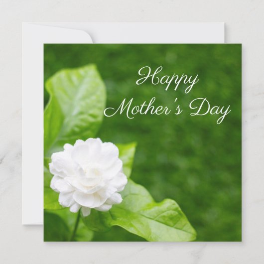 Jasmijnbloemen staan op groen Moederdag Kaart (Voorkant)