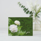 Jasmijnbloemen zijn groen bedankt. briefkaart (Staand voorkant)