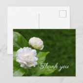 Jasmijnbloemen zijn groen bedankt. briefkaart (Voorkant / Achterkant)