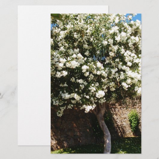 Jasmijnboom in Bloom Briefpapier (Voorkant / Achterkant)