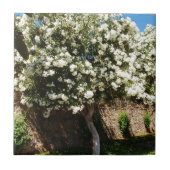 Jasmijnboom in Bloom Tegeltje (Voorkant)