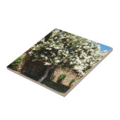 Jasmijnboom in Bloom Tegeltje (Zijkant)