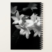 Jasmine Black en White Flowers Foto Notitieboek (Achterkant)