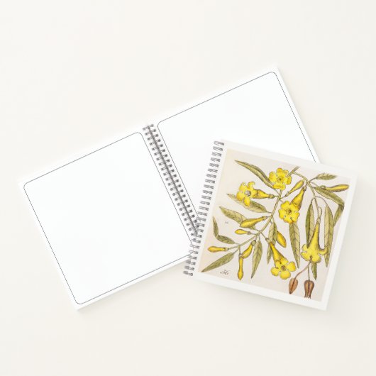 Jasmine Botanisch 18e-eeuws kunst schetsboek Notitieboek (Binnen)