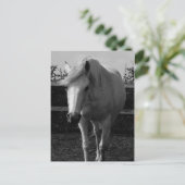 Jasmine Briefkaart (Staand voorkant)