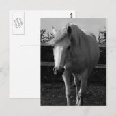 Jasmine Briefkaart (Voorkant / Achterkant)