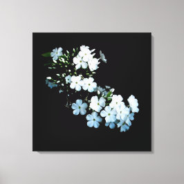 'Jasmine Detail' Canvasprint met Wikkelrand Canvas Afdruk
