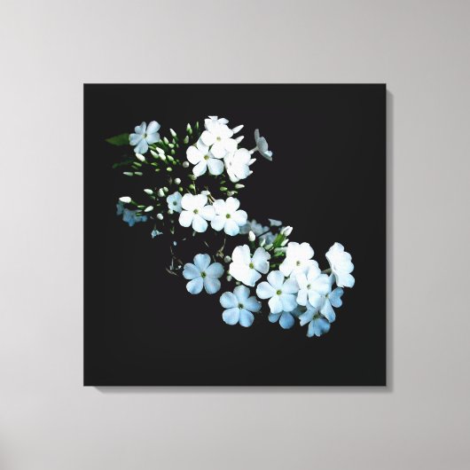 'Jasmine Detail' Canvasprint met Wikkelrand Canvas Afdruk (Voorkant)