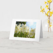 Jasmine Flower Note Kaart (Gele Bloem)