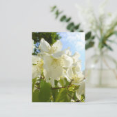 Jasmine Flowers Briefkaart (Staand voorkant)