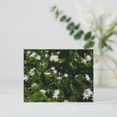Jasmine Flowers Tropical Floral Botanical Briefkaart (Staand voorkant)