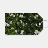 Jasmine Flowers Tropical Floral Botanical Cadeaulabel (Voorkant (Horizontaal))