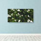 Jasmine Flowers Tropical Floral Botanical Canvas Afdruk (Insitu (Houten vloer))
