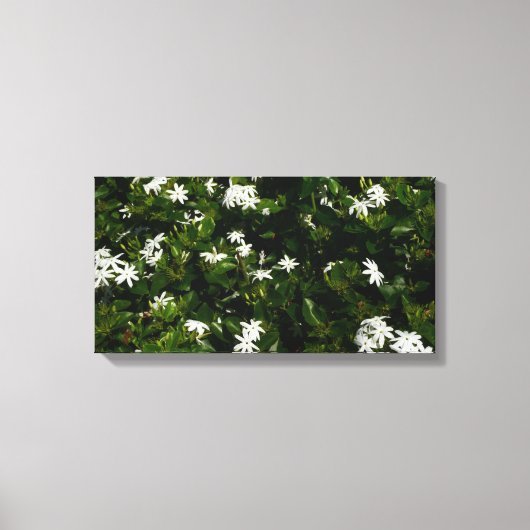 Jasmine Flowers Tropical Floral Botanical Canvas Afdruk (Voorkant)