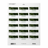 Jasmine Flowers Tropical Floral Botanical Etiket (Full Sheet)