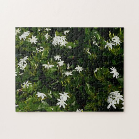 Jasmine Flowers Tropical Floral Botanical Legpuzzel (Horizontaal)