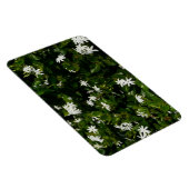 Jasmine Flowers Tropical Floral Botanical Magneet (Rechterzijde)