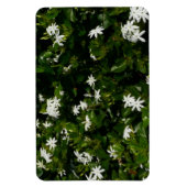 Jasmine Flowers Tropical Floral Botanical Magneet (Verticaal)
