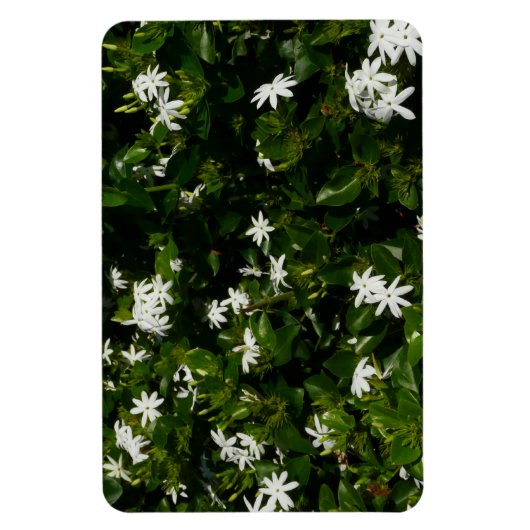 Jasmine Flowers Tropical Floral Botanical Magneet (Verticaal)