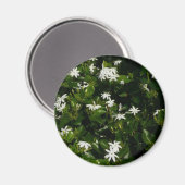 Jasmine Flowers Tropical Floral Botanical Magneet (Voorkant / Achterkant)