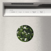 Jasmine Flowers Tropical Floral Botanical Magneet (Insitu (Vaatwasser))