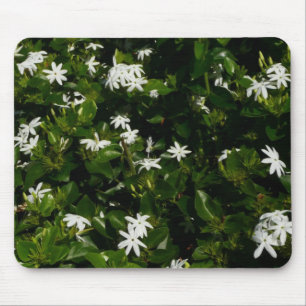 Jasmine Flowers Tropical Floral Botanical Muismat
