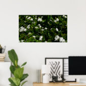 Jasmine Flowers Tropical Floral Botanical Poster (Thuiskantoor)
