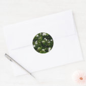 Jasmine Flowers Tropical Floral Botanical Ronde Sticker (Envelop)