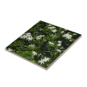 Jasmine Flowers Tropical Floral Botanical Tegeltje (Zijkant)