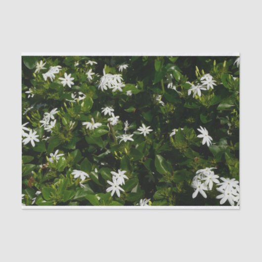 Jasmine Flowers Tropical Floral Botanical Tissuepapier (Voorkant)