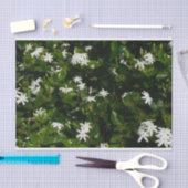 Jasmine Flowers Tropical Floral Botanical Tissuepapier (Craft)