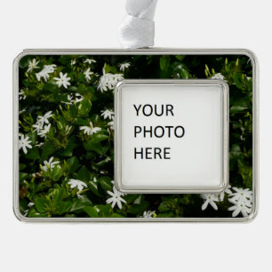 Jasmine Flowers Tropical Floral Botanical Verzilverd Omlijst Ornament