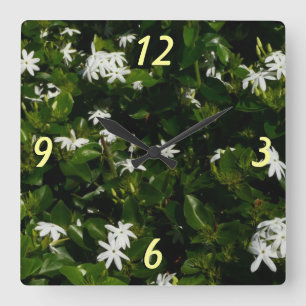 Jasmine Flowers Tropical Floral Botanical Vierkante Klok
