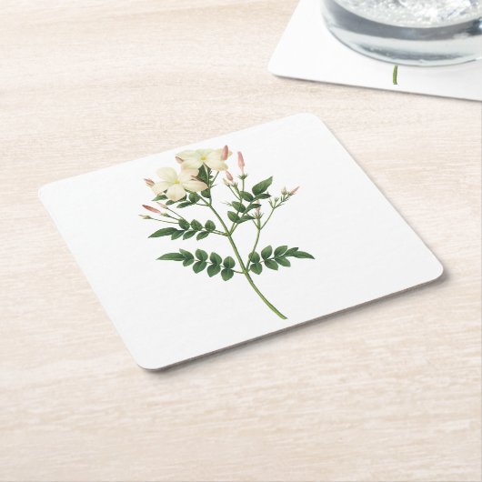 jasmine (Jasminum grandiflorum) van Redouté Kartonnen Onderzetters (Schuin)