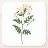 jasmine (Jasminum grandiflorum) van Redouté Kartonnen Onderzetters (Voorkant)