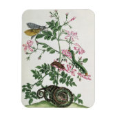 Jasmine: met slang, mot, caterpiller en chrysal magneet (Verticaal)