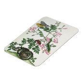 Jasmine: met slang, mot, caterpiller en chrysal magneet (Linkerzijde)