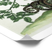 Jasmine: met slang, mot, caterpiller en chrysal poster (Hoek)