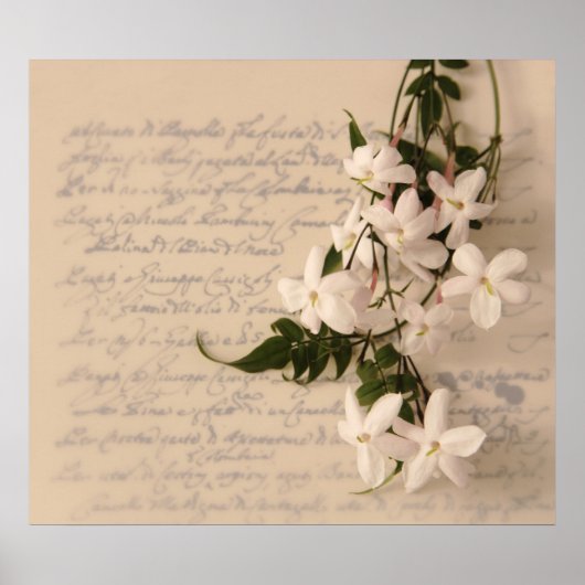 jasmine op het oude poster van het manuscripthands (Voorkant)