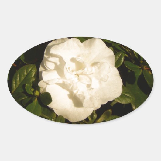 Jasmine Ovale Sticker (Voorkant)