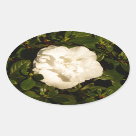 Jasmine Ovale Sticker