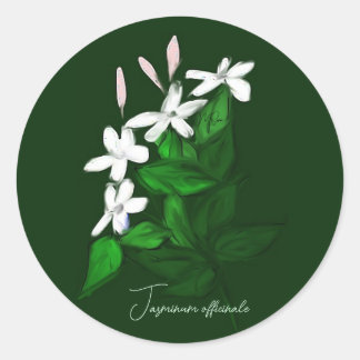Jasmine Ronde Sticker